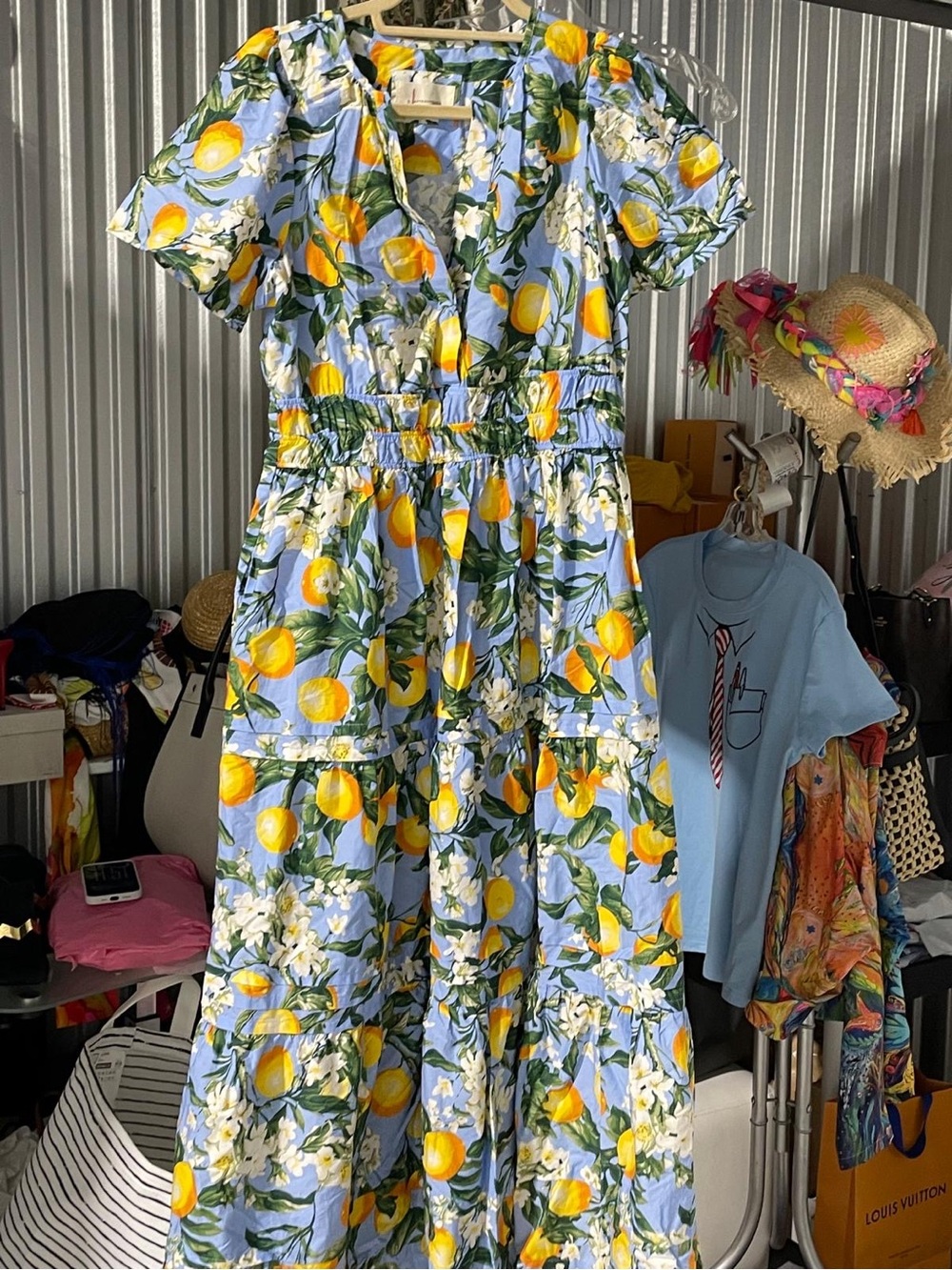 Anthropologie Blue Lemon-Print V-Neck Maxi Dress - Picture 2 of 5